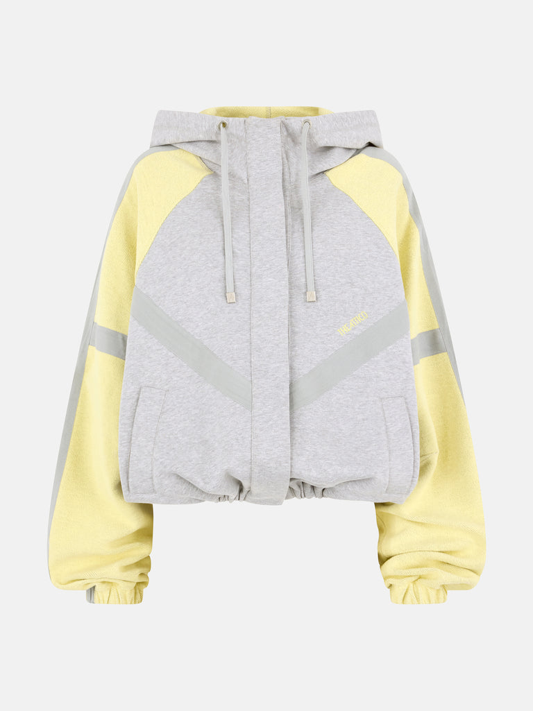 Grey and honey bomber